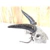 Image 8 : Hand Carved Goat Skull Taxidermy