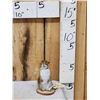 Image 1 : Pine Squirrel Full Body Taxidermy Mount