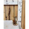 Image 2 : Pine Squirrel Full Body Taxidermy Mount