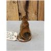 Image 4 : Pine Squirrel Full Body Taxidermy Mount