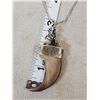 Image 2 : Black Bear Claw Necklace