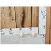 Image 1 : 2 African Hyrax Skulls Taxidermy