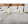 Image 2 : 2 African Hyrax Skulls Taxidermy
