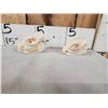 Image 4 : 2 African Hyrax Skulls Taxidermy