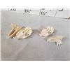 Image 5 : 2 African Hyrax Skulls Taxidermy