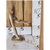 Image 3 : Diamondback Rattlesnake Full Body Taxidermy Mount
