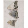 Image 3 : 3 Fossilized Megalodon Shark Teeth Fossil