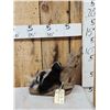 Image 1 : Baby Skunk Full Body Taxidermy Mount