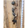Image 3 : Group Of 10 Red Eared Slider Turtle Shells Taxidermy