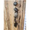 Image 4 : Group Of 10 Red Eared Slider Turtle Shells Taxidermy