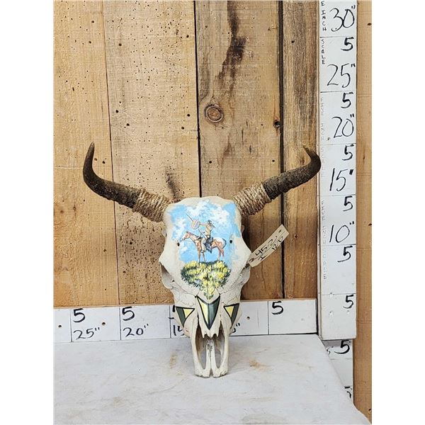 Hand Painted Steer Skull Taxidermy