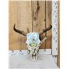 Image 1 : Hand Painted Steer Skull Taxidermy