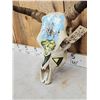 Image 3 : Hand Painted Steer Skull Taxidermy