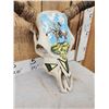 Image 4 : Hand Painted Steer Skull Taxidermy
