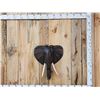 Image 1 : Hand Carved Wooden Elephant