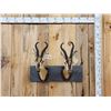 Image 1 : Pair Of Sommering's Gazelle Antique Taxidermy Mounts