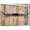Image 3 : 70" Wude Texas Longhorns Taxidermy