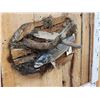 Image 3 : 16" Striper Real Skin Fish Taxidermy
