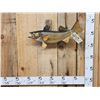 Image 1 : 22" Walleye Real Skin Fish Taxidermy