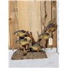 Image 1 : 5 Crappie Schooling Around Driftwood Real Skin Fish Taxidermy