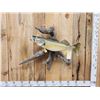 Image 1 : 29" Walleye Real Skin Fish Taxidermy