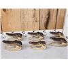 Image 1 : 6 Alligator Heads Taxidermy