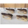 Image 3 : 6 Alligator Heads Taxidermy