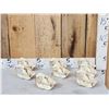 Image 1 : 8 Beaver Skulls Taxidermy