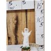 Image 1 : Ehite Weasel Full Body Taxidermy Mount
