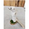Image 4 : Ehite Weasel Full Body Taxidermy Mount