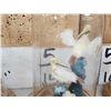 Image 4 : Collection Of 8 Oriental Bird Feather Sculptures Taxidermy
