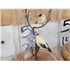 Image 5 : Collection Of 8 Oriental Bird Feather Sculptures Taxidermy