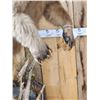 Image 9 : Alaskan Grizzly Bear Full Body Taxidermy Mount