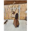 Image 9 : 7x5 Elk Pedestal Taxidermy Mount