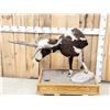 Image 3 : Jacob's 4 Horn Ram Sheep Half Body Taxidermy Mount