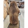 Image 12 : Juvenile Alaskan Grizzly Bear Full Body Taxidermy Mount