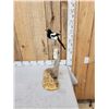 Image 3 : Eurasian Magpie Pica Pica Full Body Bird Taxidermy