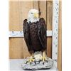 Image 1 : 100% Reproduction Bald Eagle Bird Taxidermy