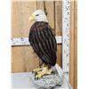 Image 3 : 100% Reproduction Bald Eagle Bird Taxidermy