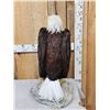 Image 5 : 100% Reproduction Bald Eagle Bird Taxidermy