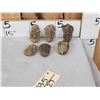 Image 1 : 6 Fossilized Trilobites