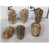Image 2 : 6 Fossilized Trilobites
