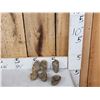 Image 3 : 6 Fossilized Trilobites