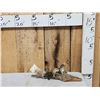 Image 1 : Chipmunk On Driftwood Taxidermy Mount