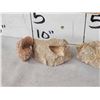 Image 2 : Prehistoric Mausasaur Teeth In Matrix