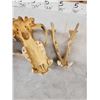 Image 4 : Alaskan Grizzly Bear Skull Taxidermy