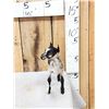 Image 3 : Baby Goat Full Body Taxidermy Mount