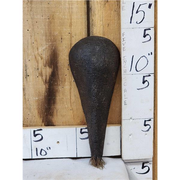 Taxidermy Hippopotamus Tail