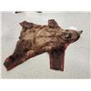 Image 4 : Alaskan Grizzly Bear Rug Taxidermy