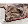 Image 10 : Canadian Wolf Rug Taxidermy